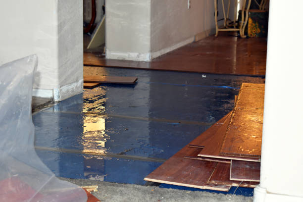 Professional Flood Damage Repair technician working in Brighton, IL